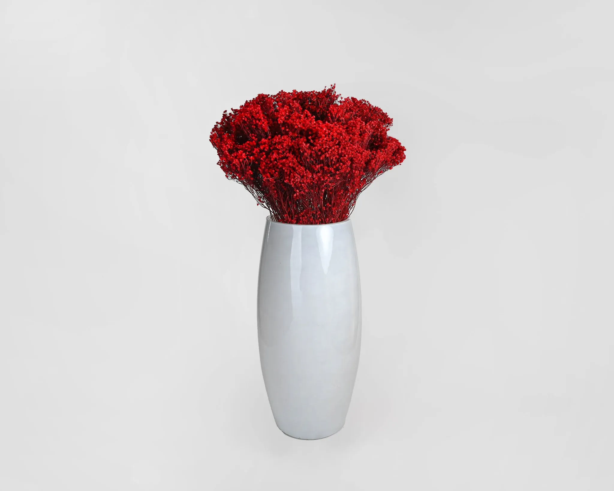 Dried Broom Bloom Flowers - Colors