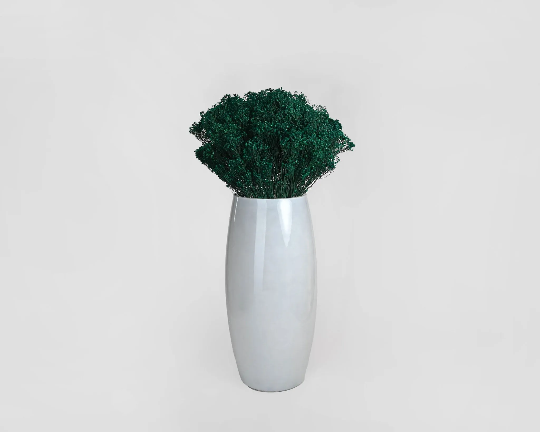 Dried Broom Bloom Flowers - Colors