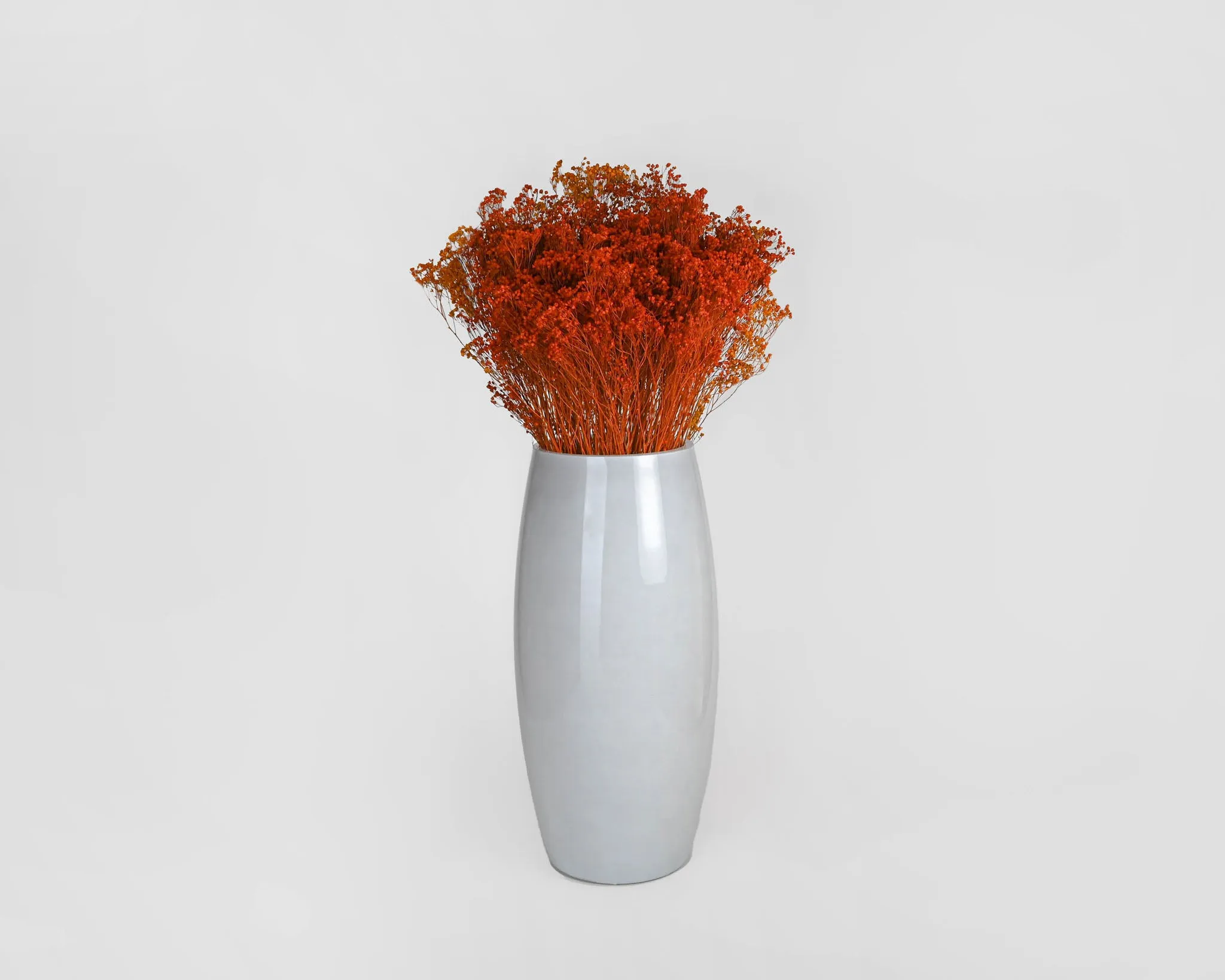 Dried Broom Bloom Flowers - Colors