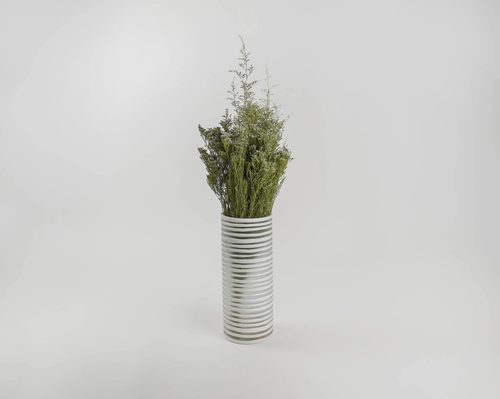 Dried Caspia Flower Bunch or Bulk