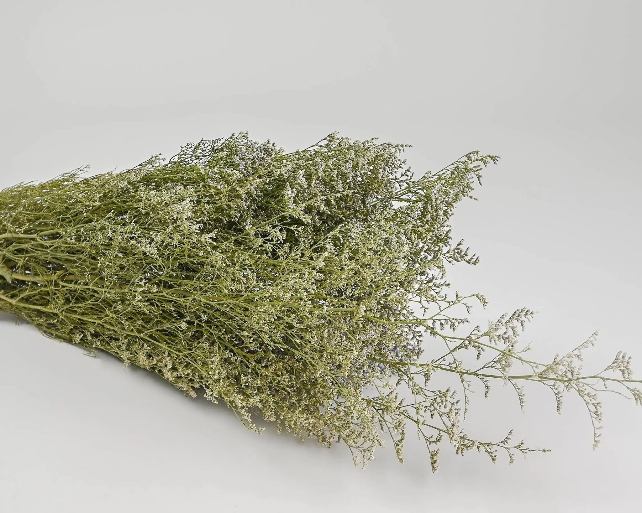 Dried Caspia Flower Bunch or Bulk